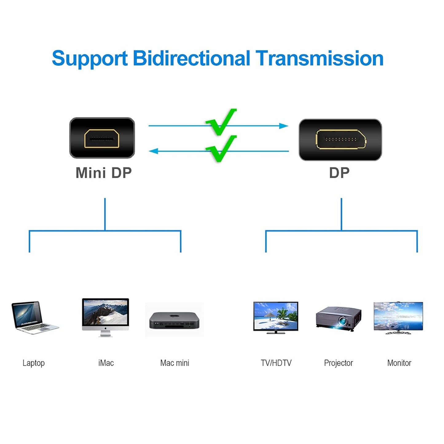 Rankie - Mini DisplayPort (Mini DP) to DisplayPort (DP) Cable 1m