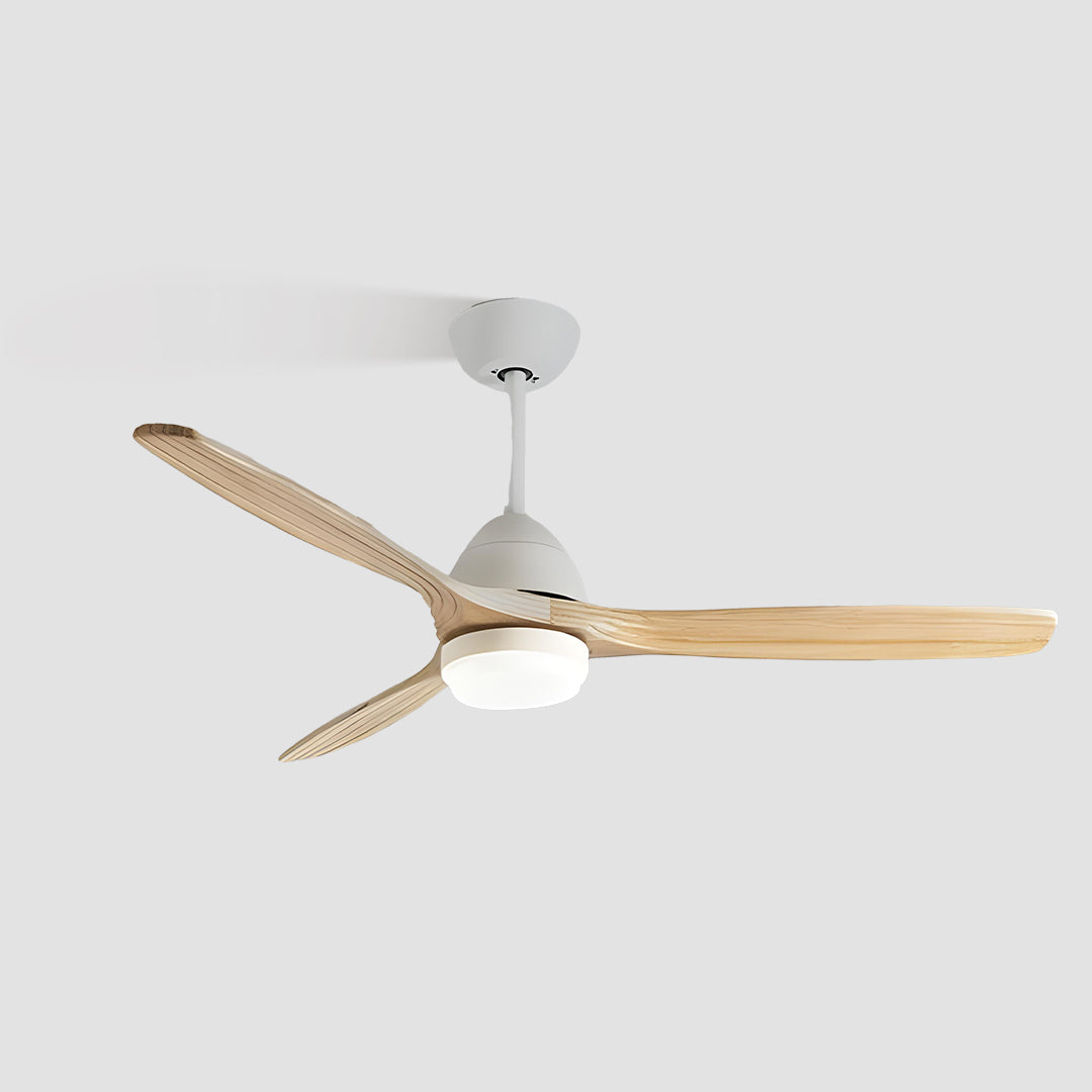 Air Quality & Ceiling Fans