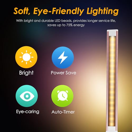 HMFUNTM LED Desk Lamp in pink with touch control and USB charging port