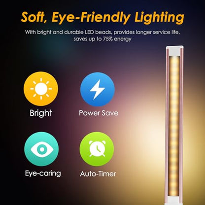 HMFUNTM LED Desk Lamp in pink with touch control and USB charging port