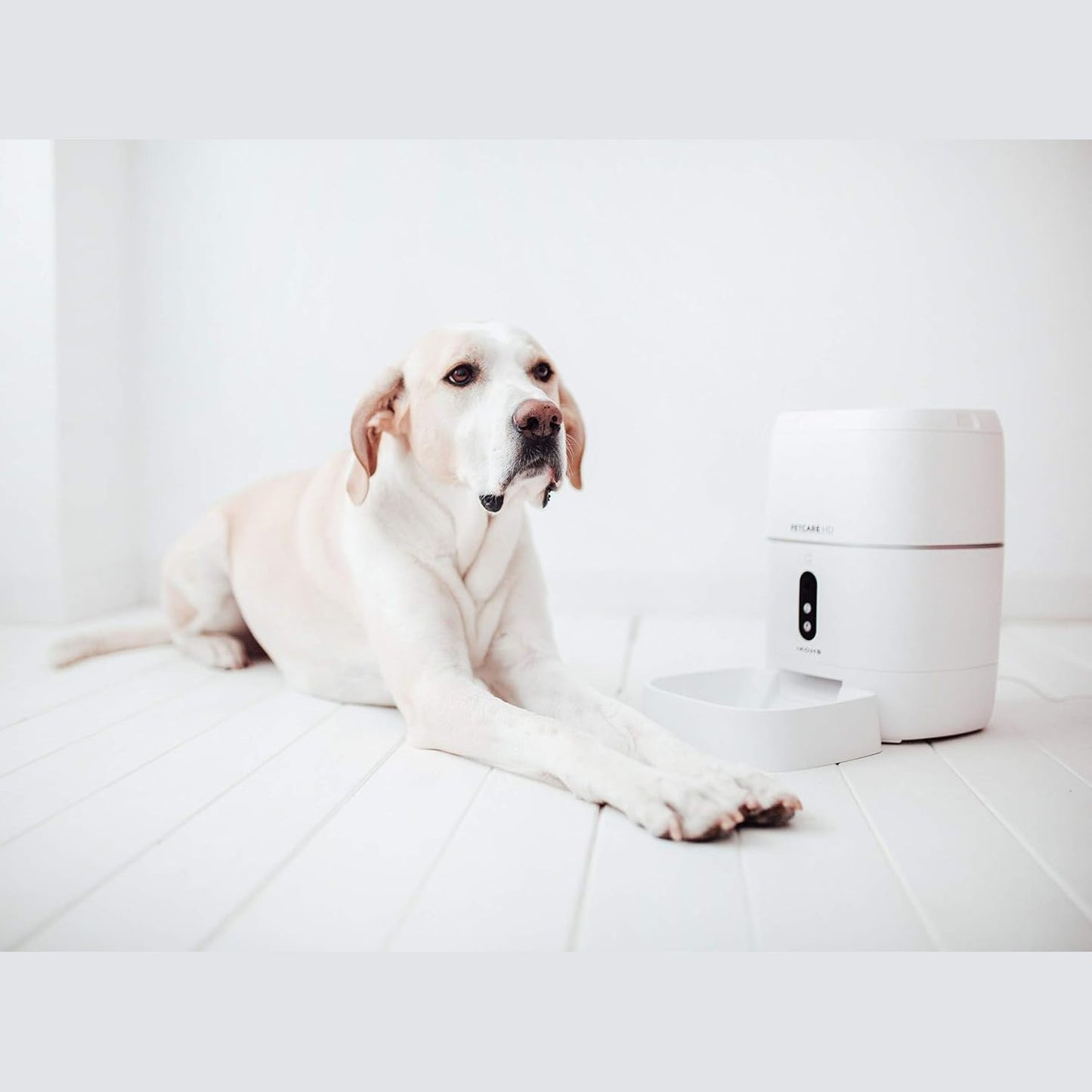 Create  - Petcare HD Automatic Feeding Station for Dogs and Cats