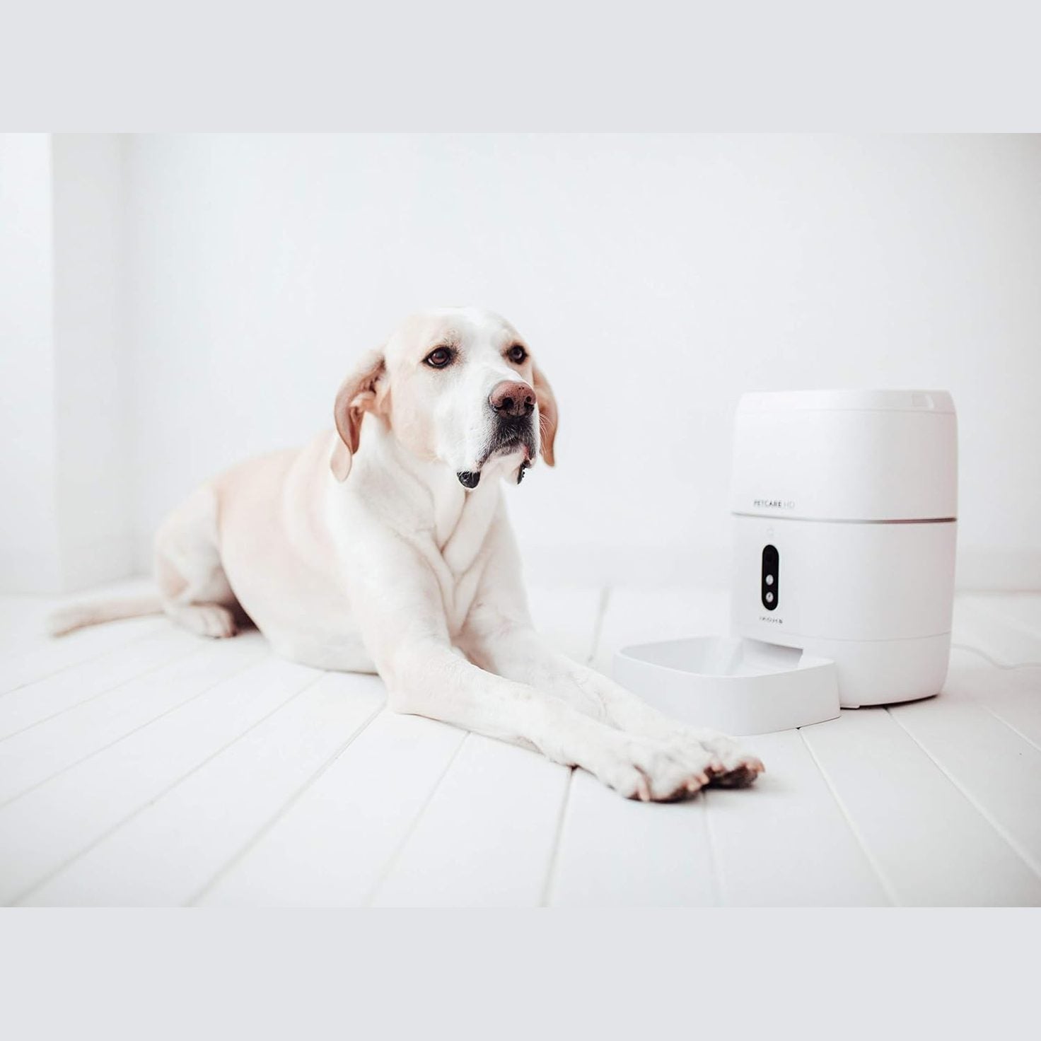 Create  - Petcare HD Automatic Feeding Station for Dogs and Cats