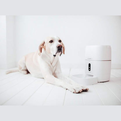 Create  - Petcare HD Automatic Feeding Station for Dogs and Cats