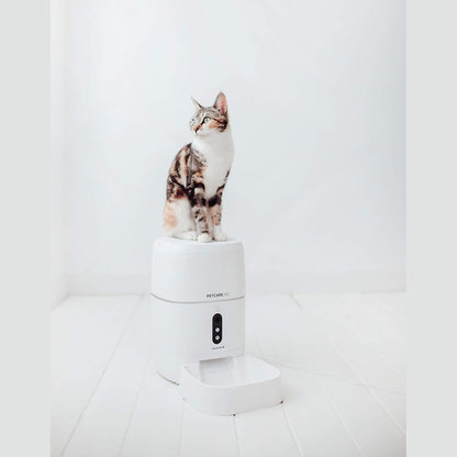 Create  - Petcare HD Automatic Feeding Station for Dogs and Cats