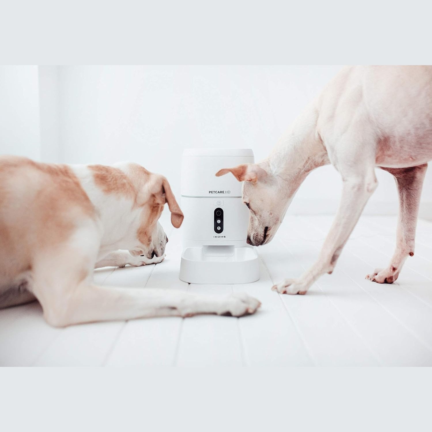 Create  - Petcare HD Automatic Feeding Station for Dogs and Cats
