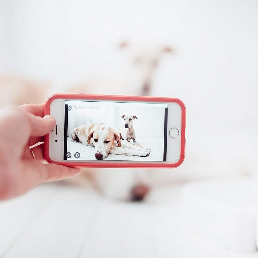 Create  - Petcare HD Automatic Feeding Station for Dogs and Cats