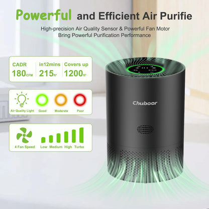 Air Purifiers for Home Large Rooms, H13 True HEPA with Timer