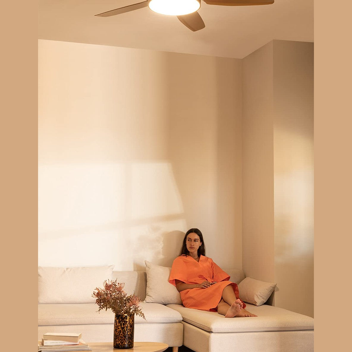 CREATE /WINDLIGHT FLAT DC/Gold DC Motor Ceiling Fan with Light/Quiet, Timer