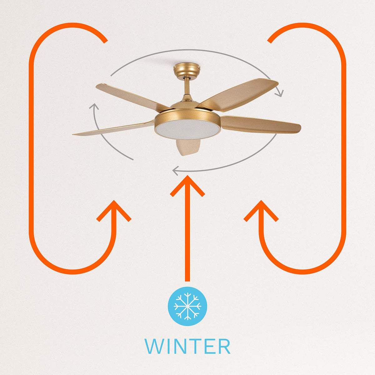 CREATE /WINDLIGHT FLAT DC/Gold DC Motor Ceiling Fan with Light/Quiet, Timer