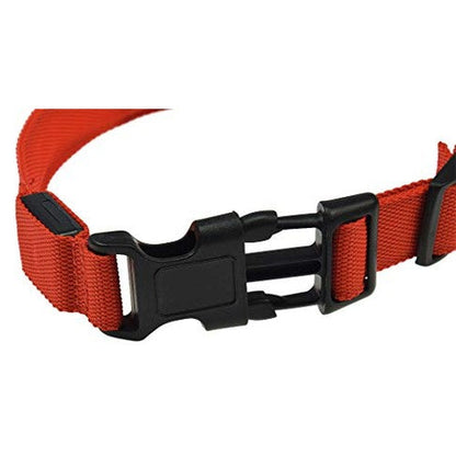 ChiliTec - LED Dog Collar with Sturdy Clip, Metal Ring, Size S-XL, Red