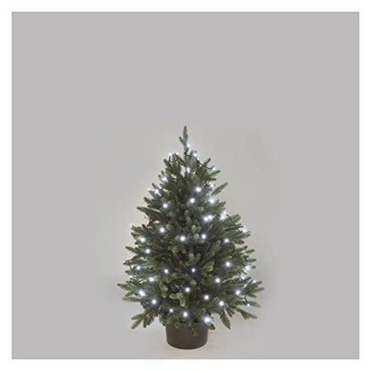 Emos - 4m LED Light Chain Cold White, IP44, 40 LEDs, Timer Function