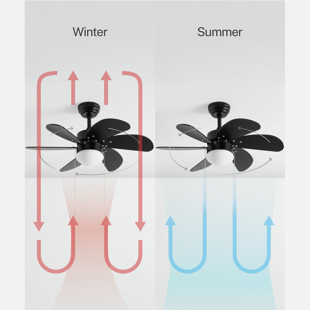 Create - WINDLIGHT EASY – 53W Quiet Ceiling Fan with Remote Control, 6 Speeds, Timer, Summer/Winter Function, with Lighting (82 cm)