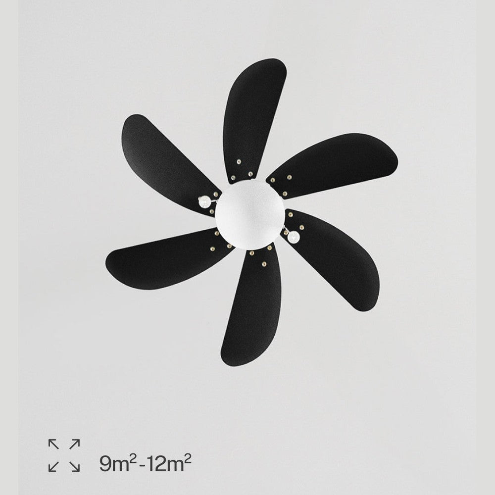 Create - WINDLIGHT EASY – 53W Quiet Ceiling Fan with Remote Control, 6 Speeds, Timer, Summer/Winter Function, with Lighting (82 cm)
