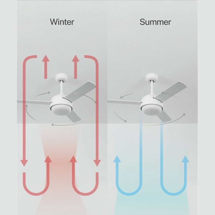 Create - WIND BALL – 40W Silent Ceiling Fan with 15W LED Light, 6 Speeds, Summer/Winter Function, Reversible Blades (Ø112 cm)