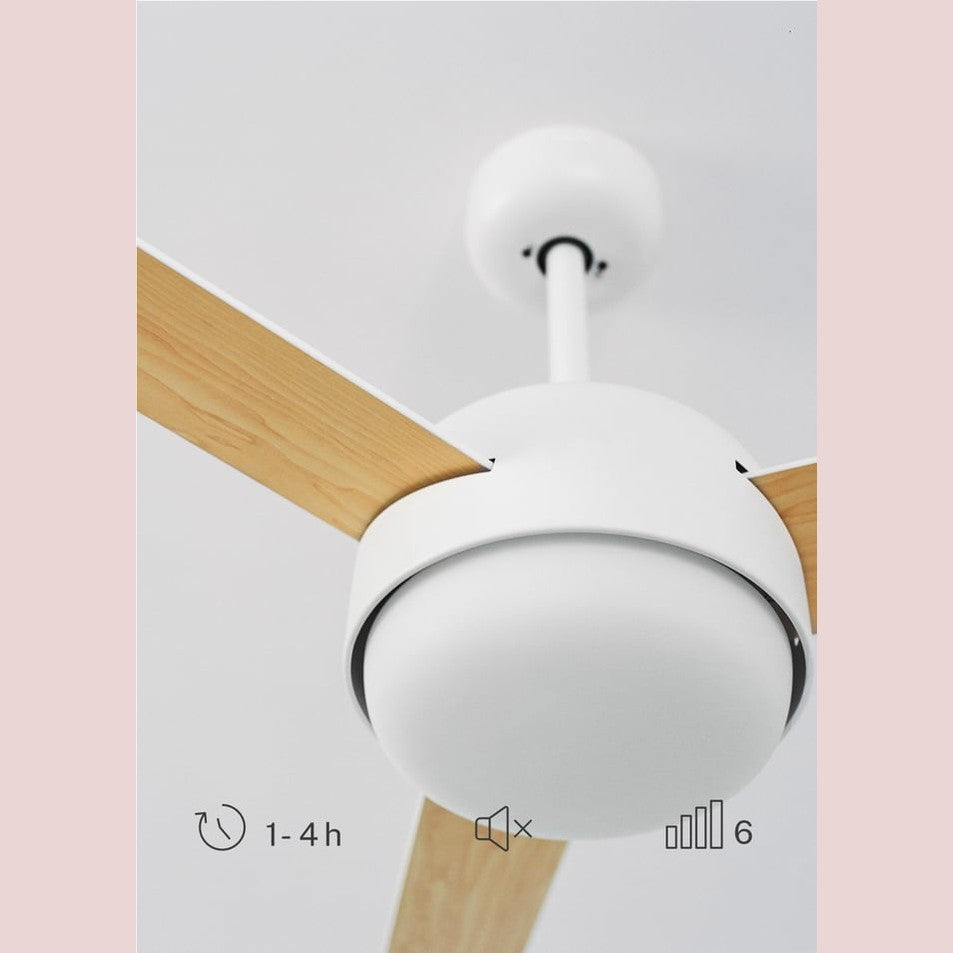 Create - WIND BALL – 40W Silent Ceiling Fan with 15W LED Light, 6 Speeds, Summer/Winter Function, Reversible Blades (Ø112 cm)