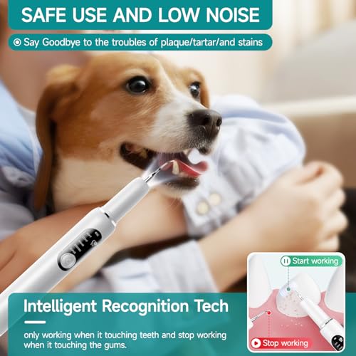 Jellytree - Dog Plaque & Tartar Remover Kit with LED Light, 5 Cleaning Modes