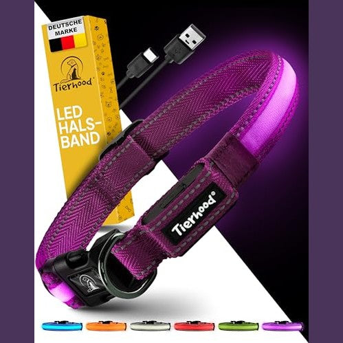 Shop Luminous LED Dog Collar for small and large dogs. Rechargeable, weatherproof, and perfect for night walks. Available in purple, size M. Keywords: LED dog collar, rechargeable, weatherproof