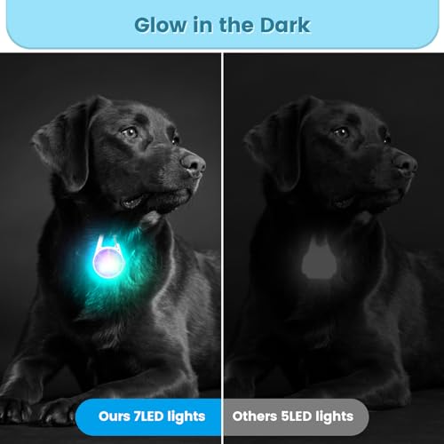 Medt - LED Rechargeable Dog Collar Lights, 2-Pack, RGB Colors, Super Bright