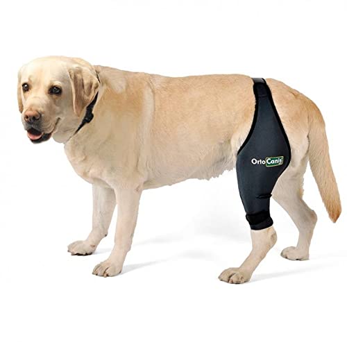 Ortocanis Knee Brace for Dogs - ACL Support, Arthritis Relief XL