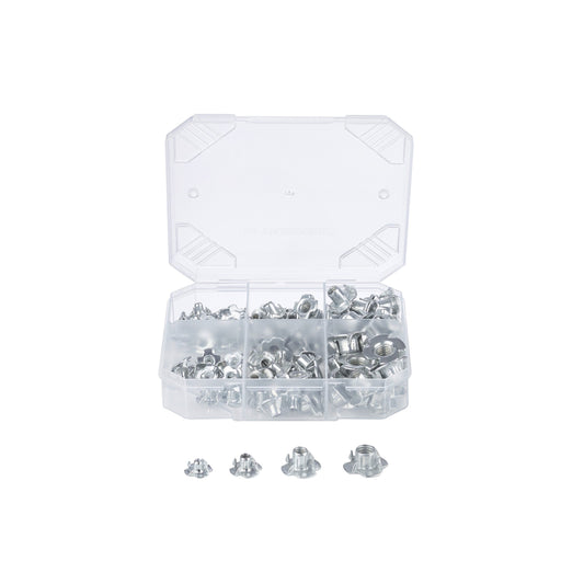 A variety of metal screws and nuts neatly organized in a storage case